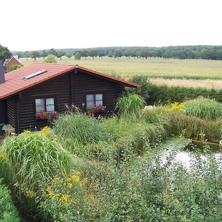 Ferienhaus Hohenlubast Grafenhainichen Dış mekan fotoğraf